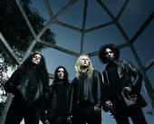 Alice in Chains - N