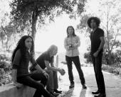 Alice in Chains - W