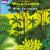Villa-Lobos:Piano Music Vol.1 von Various Artists