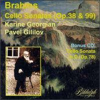 Brahms: Cello Sonatas Opp. 38 & 99 von Various Artists