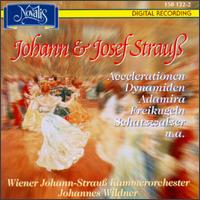 Johann & Josef Straub von Various Artists