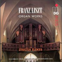 Franz Liszt: Organ Works von Various Artists