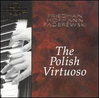 The Polish Virtuoso von Various Artists