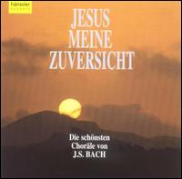 Jesus meine Zuversicht von Various Artists