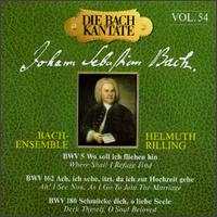 The Bach Cantata, Vol. 54 von Helmuth Rilling