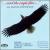 And the Eagle Flies...: New American Orchestral Music von Various Artists