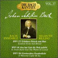 The Bach Cantata, Vol. 37 von Helmuth Rilling