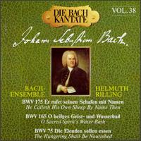 The Bach Cantata, Vol. 38 von Helmuth Rilling