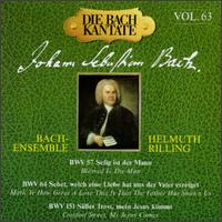 The Bach Cantata, Vol. 63 von Helmuth Rilling