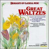 Great Waltzes von Various Artists