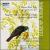 Argento: A Water Bird talk/Miss Havisham's Wedding Night von Various Artists