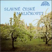 Salvne Ceske Malickosti von Various Artists