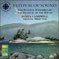 Festival of Sound von Various Artists