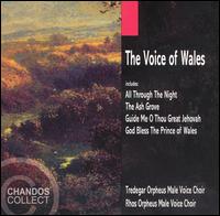 The Voice of Wales von Various Artists