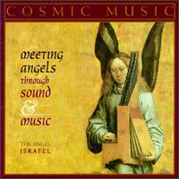 Cosmic Music: Meeting Angels Through Sound & Music von Various Artists