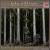 The Five Sacred Trees von John Williams