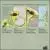 Genzmer/Schumann/Coenen: Music for Horn Quartett von Various Artists