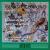 Stravinsky: L'oiseau de feu/Scherzo a la russe/Le rossignol/Tango von Various Artists