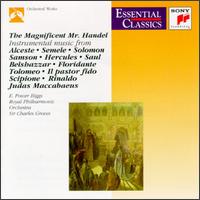 The Magnificent Mr. Handel von Charles Groves