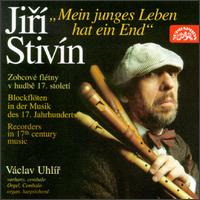 Stivin: Me mladi je u konce von Various Artists