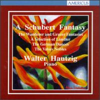 A Schubert Fantasy von Various Artists