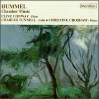Hummel: Chamber Music von Various Artists