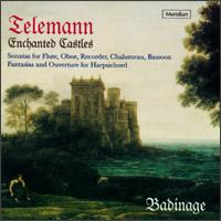 Enchanted Castles von Various Artists