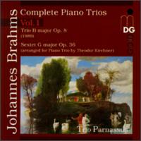 Brahms: Complete Piano Trios, Vol.1 von Various Artists