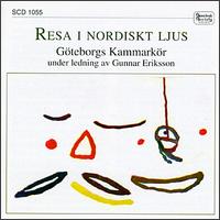Resa I Nordiskt Ljus von Various Artists