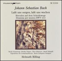 Bach: Laßt uns sorgen, laßt uns wachen von Helmuth Rilling