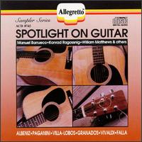 Spotlight on Guitar von Various Artists