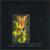 Celestial Christmas: A Special Collection of Seasonal Music von Celestial Christmas