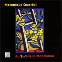 Au Sud de la Mandoline von Patrick Vaillant