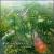 First Impressions-Emotionally Connective Impromptu's of Life von William Goldstein