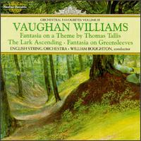Vaughan Williams: Orchestral Favourites, Vol. 3 von William Boughton