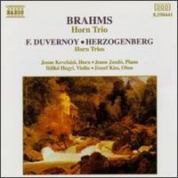 Brahms: Horn Trio in E flat major; Herzogenberg: Trio for Horn, Oboe & Piano; Duvernoy: Trio for Horn, Violin & Piano von Various Artists