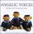 Angelic Voices: The Best of the Vienna Boys' Choir von Vienna Boys' Choir