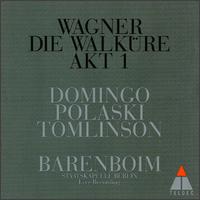 Die Walküre Act 1 von Various Artists