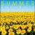 Summer Classics von Various Artists