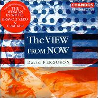 The View from Now von David Ferguson