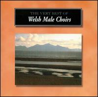 Very Best of Welsh Male Choirs von Various Artists