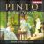 Pinto: Piano Music von Miceal O'Rourke