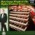 More George Wright at the Mighty Wurlitzer Organ, Vol. 3 von George Wright