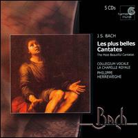 Bach: The Most Beautiful Cantatas von Philippe Herreweghe