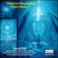 There let the pealing organ blow... von David Hill