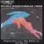 Wilhelm Peterson-Berger: Lieder von Various Artists