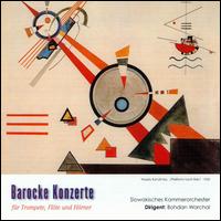 Barocke Konzerte von Various Artists