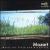 Mozart: Flute Concertos von Various Artists