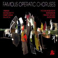 Famous Operatic Choruses von Various Artists