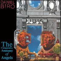 Biro: The Comparative Anatomy of Angels von Daniel Biro
